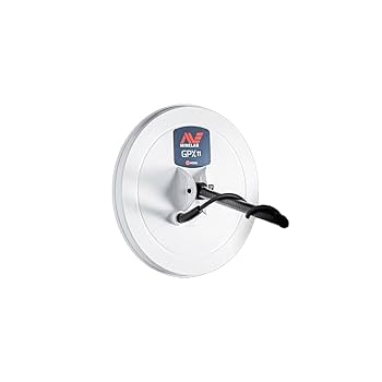 Amazon.com : MINELAB GPX 11